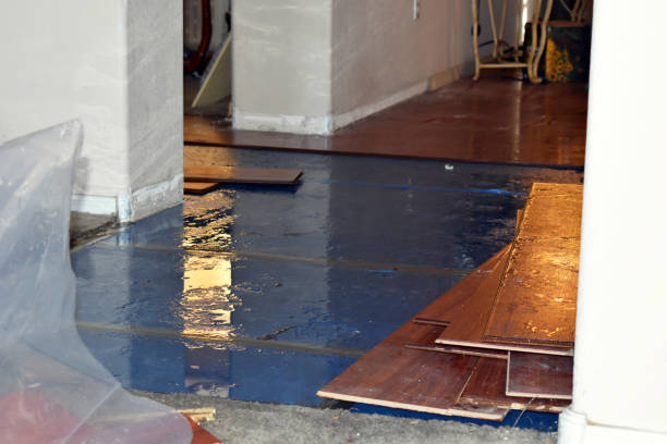 Professional Sewage Cleanup technician working in Triangle, VA